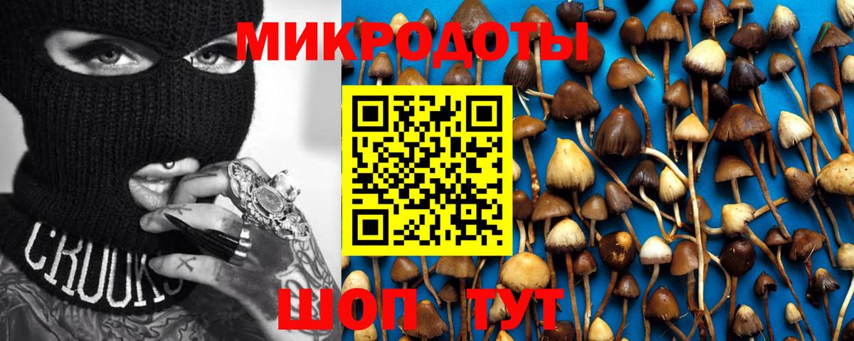 Псилоцибиновые грибы GOLDEN TEACHER  Вход с VPN  купить наркоту  Полысаево 
